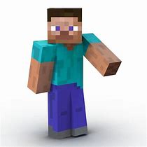 Image result for Steve Mniecraft