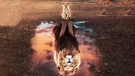 Image result for Kitten Lion Reflection in Water