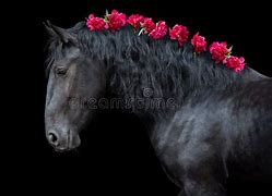 Image result for Horse with Flowers in Mane