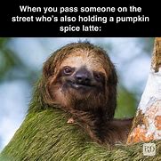 Image result for No Pumpkin Spice Meme