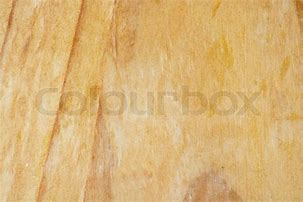 Image result for Maple Wood Grain