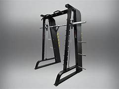 Image result for Flex Smith Machine