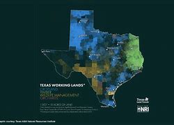 Image result for Texas Nature Reserves