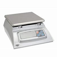 Image result for Food Scale with Case