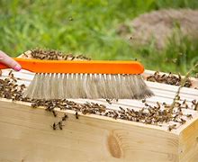 Image result for Beginning Beekeeping