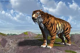 Image result for Sabertooth Tiger Side Profile