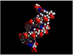 Image result for Double Helix Science