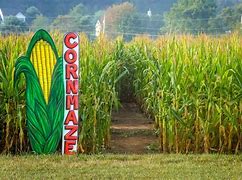 Image result for Corn Maze Theme