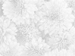 Image result for Small White Background