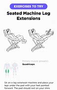 Image result for Seated Leg Extension Exercise