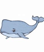 Image result for Sperm Whale Art