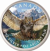 Image result for Canadian Birds of Prey