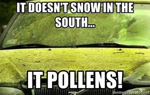 Image result for Allergy Season Meme