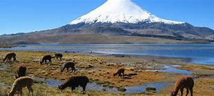 Image result for Norte De Chile