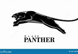 Image result for Leaping Panther