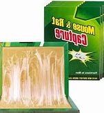 Image result for Glue Mouse Traps That Work