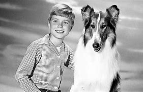 Image result for Lassie Show