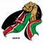 Image result for Kenyan Dflag