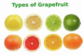 Image result for Different Kinds of Grapefruit