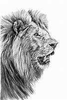 Image result for lion kitten drawing