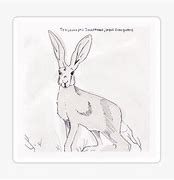 Image result for Tehuantepec Jackrabbit