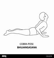 Image result for Bhujangasana Pose