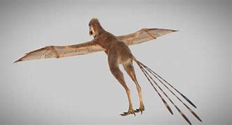 Image result for Bat-Like Dinosaur