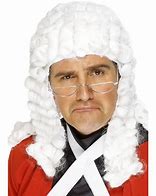 Image result for Judicial Wig