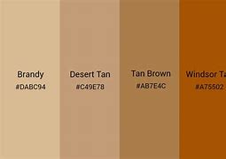 Image result for Tan Colour Poncho