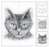 Image result for Cat Shading