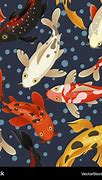 Image result for 13 Koi Carp Image