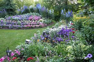 Image result for Delphinium Garden