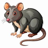 Image result for Cartoon Rat Head