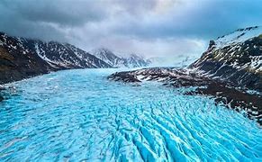 Image result for Arctic Nature