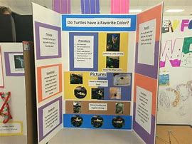 Image result for Elementary Science Fair Project Ideas