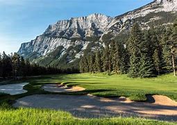 Image result for Wildlife On Banff Golf Course