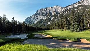 Image result for Wildlife On Banff Golf Course