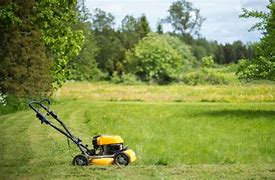 Image result for Mowing Lawn Sweating