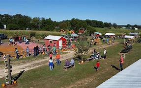 Image result for Exeter Corn Maze