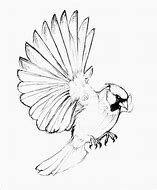 Image result for Pencil Bird Drawings Simple