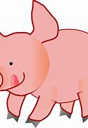 Image result for Real Pink Pig