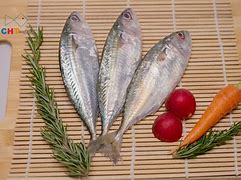 Image result for Indian Mackerel