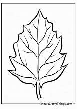 Image result for Free Printable Green Leaves