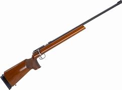 Image result for 22LR Match Rifle