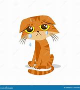 Image result for Cat in Pain Cartoon