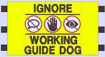 Image result for Guide Dog at Work Sign