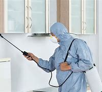 Image result for Pest Control Company