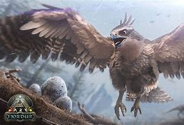 Image result for Fjordhawk Ark