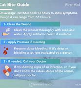 Image result for Cat Ear Bite