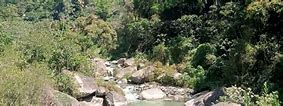 Image result for Nuevo Parque Central Tapachula Chiapas